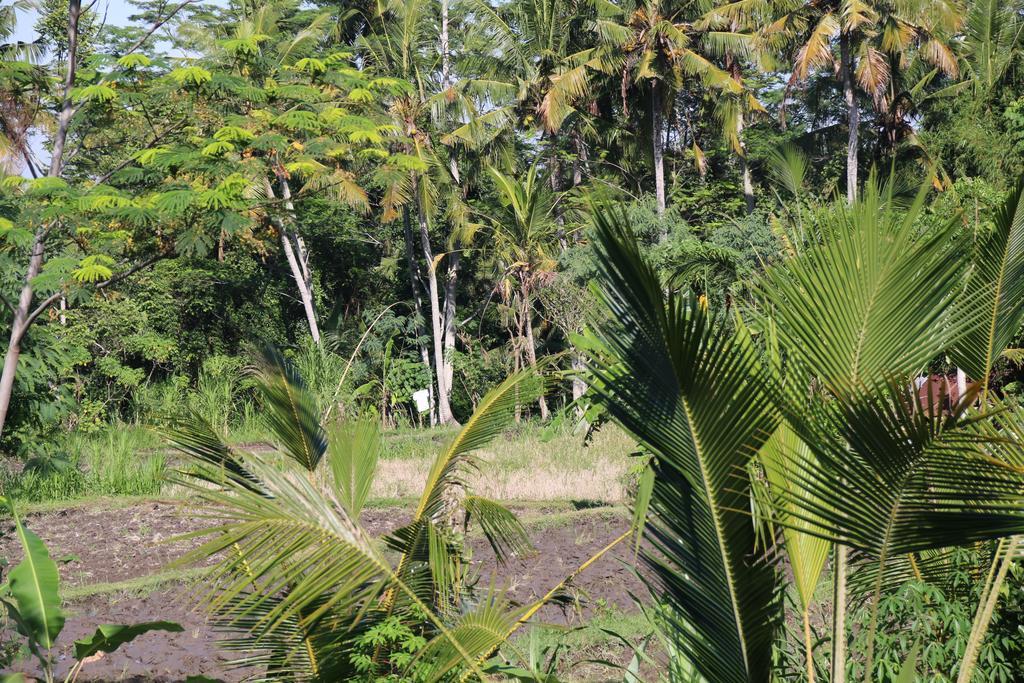 Pesantian Villa And Warung Ubud  Bagian luar foto