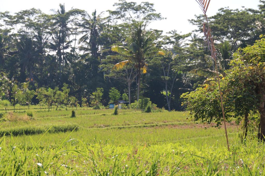 Pesantian Villa And Warung Ubud  Bagian luar foto