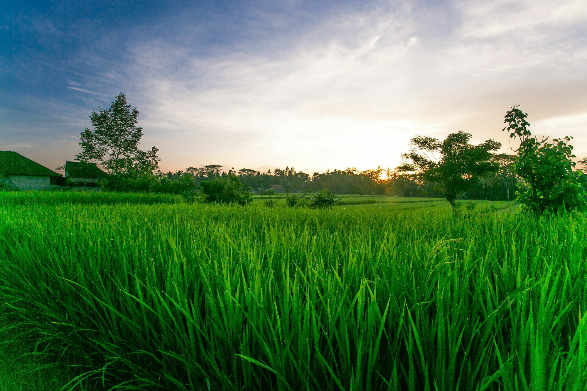 Pesantian Villa And Warung Ubud  Bagian luar foto